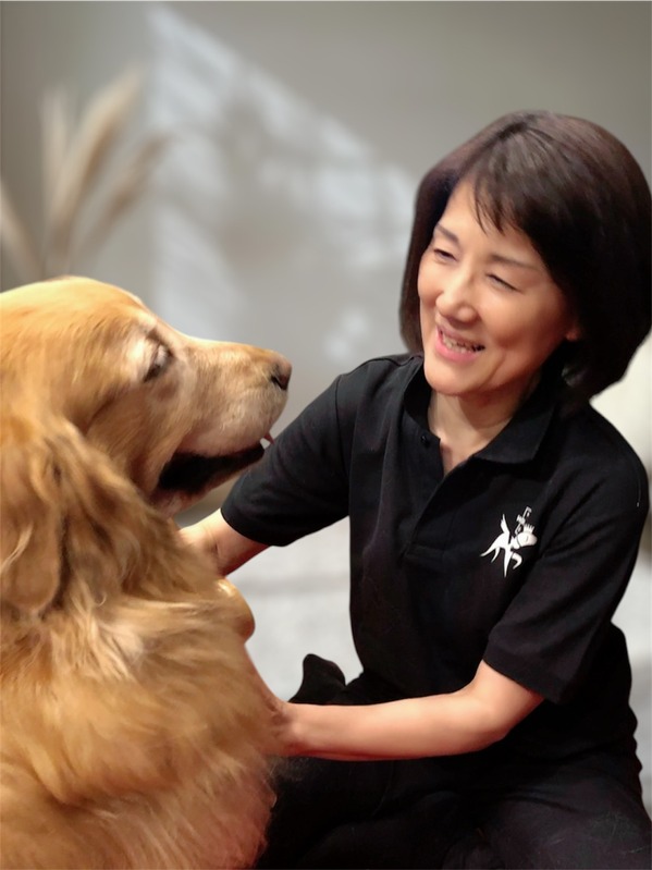 ホリスティックドッグマッサージ｜犬の温灸とストーンセラピー